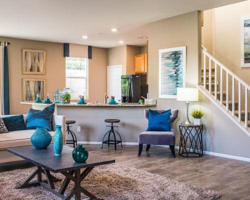 living room scene brown
